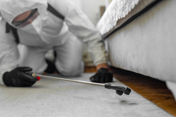 Professional Bed Bug Control technician working in Manchester Center, VT