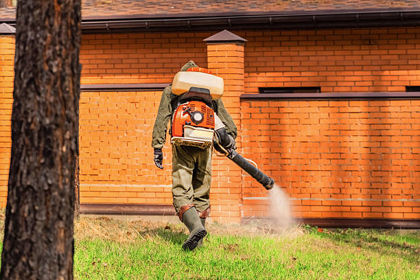 Trusted Mosquito Control service in Manchester Center, VT - Nex Pest Control